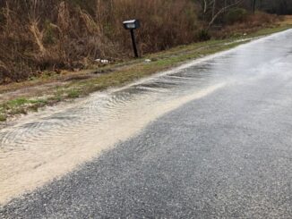 Rising water across the county is causing dangerous road conditions in many areas, such as this flooding along Peacock Road. (Submitted photo)