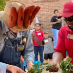 Yam Man Tiger Lovette and Cooperative Extension Director Dalton Dockery with some of the yam plants that have been loving nurtured by children since last spring. Judging of the junior yam farmers' work begins Friday night at the Tabor City Library (File photo)