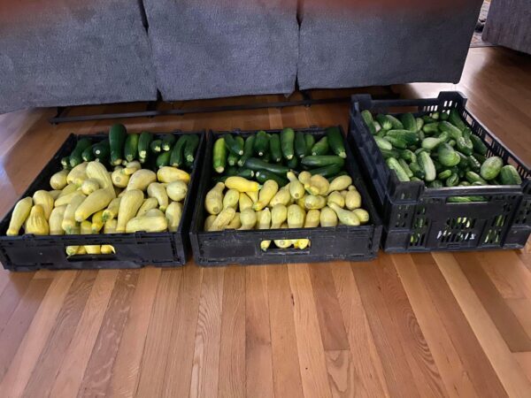 The Boys and Girls Home greenhouse sat idle for several years, until Buddy and Sherry Kennedy spearheaded an effort to get it growing again. (Courtesy photo)