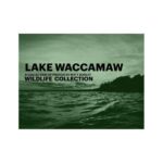 Matthew Dudley turned a love of photography and Lake Waccamaw into two books of his photographs.
