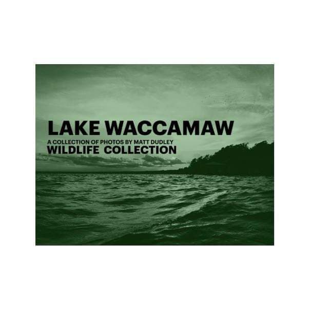 Matthew Dudley turned a love of photography and Lake Waccamaw into two books of his photographs.