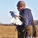 The Wildlife Commission is offering a senior in September on the growing sport f falconry. (Courtesy AFA)