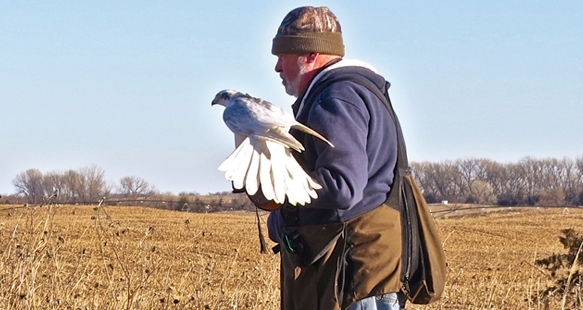The Wildlife Commission is offering a senior in September on the growing sport f falconry. (Courtesy AFA)