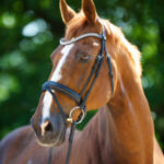 Kenneth McCellan Godwin