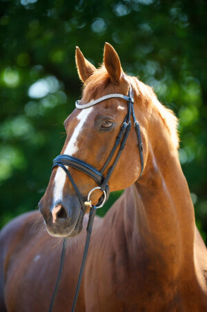 Kenneth McCellan Godwin