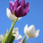 Linda Lou Roberts Lundy