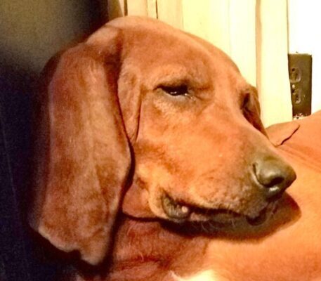 William taking it easy between patrols.