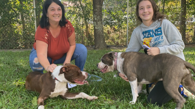 Trooper (left) with his new family. Changes at Animal protective Services helped get Trooper the assistance he needed much faster. (Submitted photo)