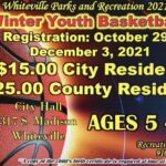 Winter Youth Baseball registration poster