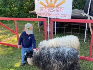The Petting Zoo will be just one of the activities at this year's Spring Has Sprung Festival in Tabor City. (Contributed)