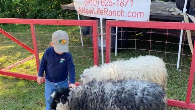 The Petting Zoo will be just one of the activities at this year's Spring Has Sprung Festival in Tabor City. (Contributed)