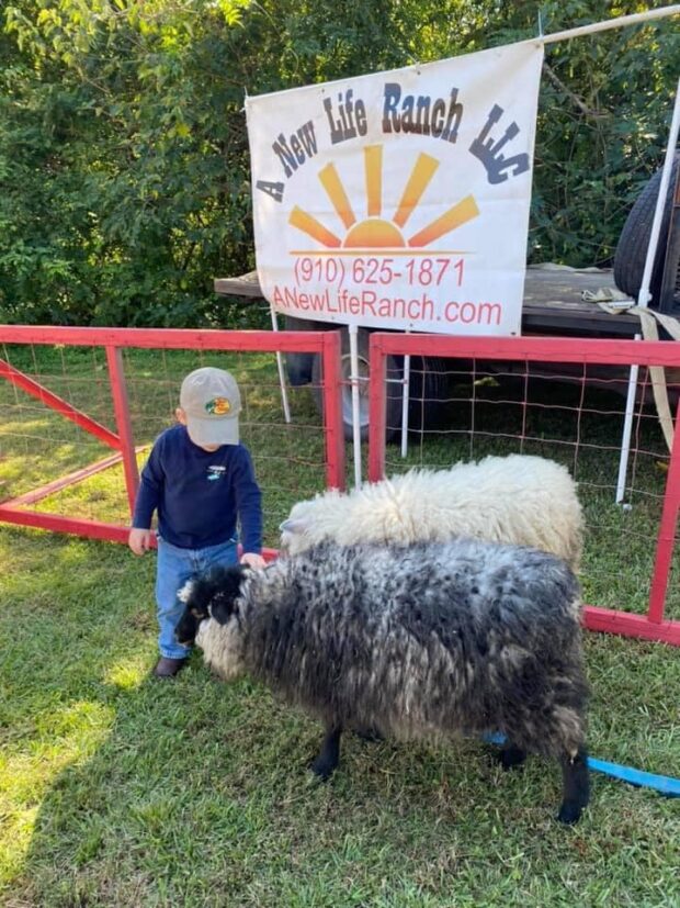 The Petting Zoo will be just one of the activities at this year's Spring Has Sprung Festival in Tabor City. (Contributed)