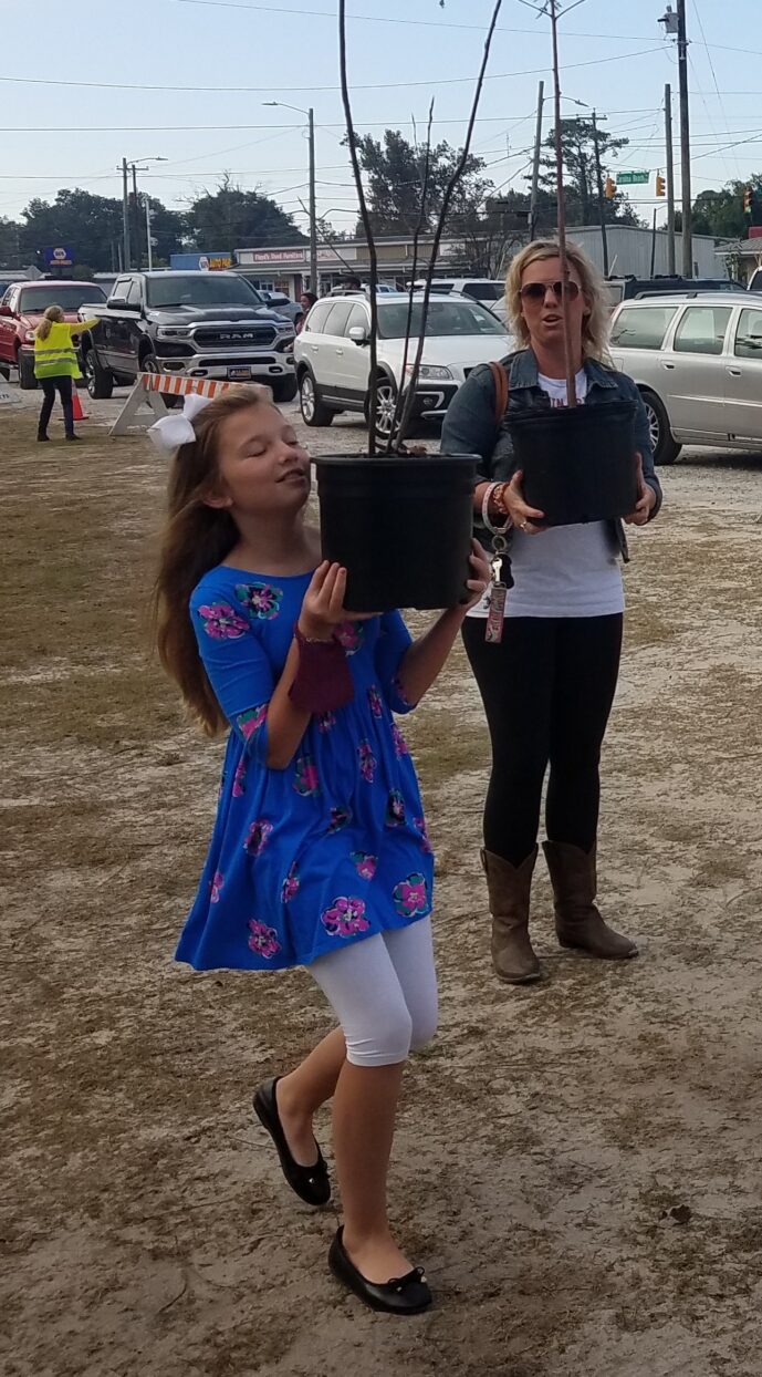 A happy recipient picks up her tree at a recent giveaway event. (Contributed)