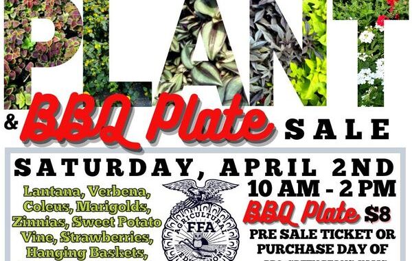 Plant and BBQ Plate poster