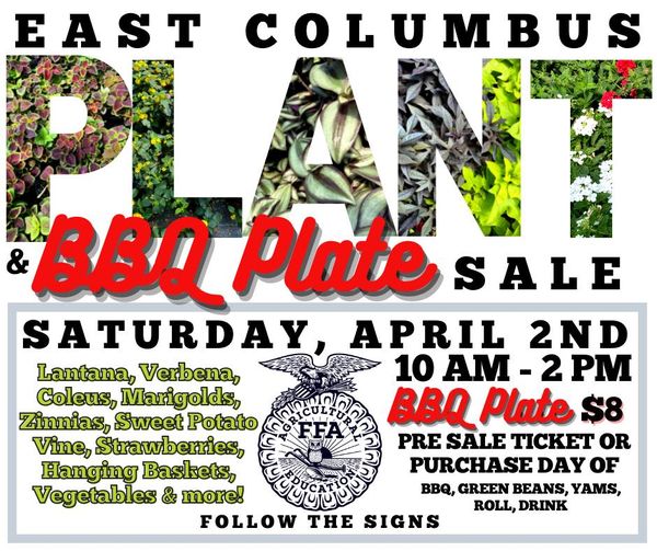 Plant and BBQ Plate poster