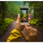 City Nature Challenge