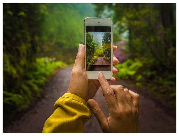 City Nature Challenge