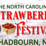 Strawberry Festival poster