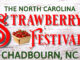 Strawberry Festival poster