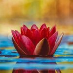 Sharon Ruth (Staats) Bronner