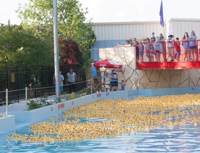 This year marks the return of the Duck Derby supporting Coastal Horizons' support programs. (Submitted)
