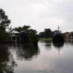 Fowler Town 904 6822