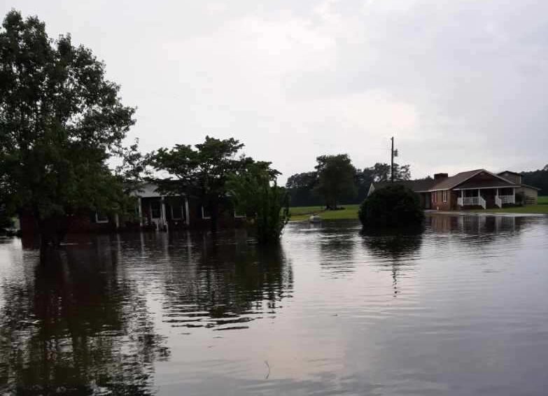 Fowler Town 904 6822