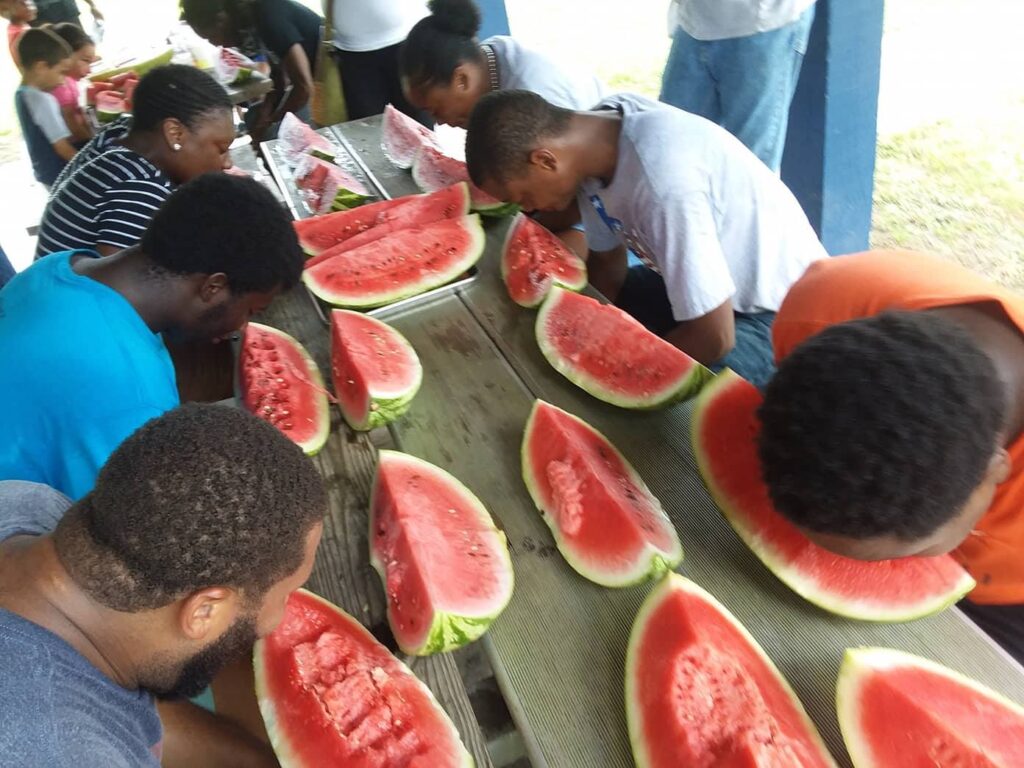 Watermelon file photo