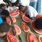 Watermelon file photo