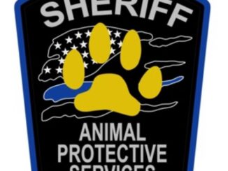 APS badge animal protective services