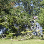 This home on Lee Street in Whiteville was demolished and five people trapped inside after Ian's winds pushed a hundred-year-old pecan tree over.