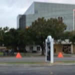 Trees beside buildings