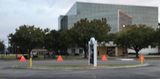 Trees beside buildings