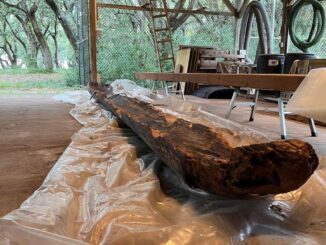 This dugout canoe will be stabilized and preserved before going on display at the Museum of the Southeast American Indian. (submitted)
