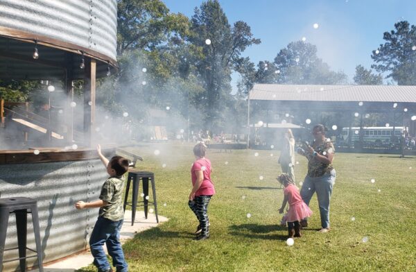 Visitors at Maze Craze enjoying one of the many activities at the farm.