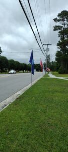 Flags on Flemington 