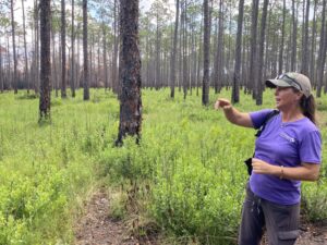 Deb Maurer speaks of fire damage to the forest and how previous controlled burns minimized problems from the Pulp Road wildfire.