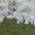 Even professionally managed controlled burns can quickly get away under the right conditions.