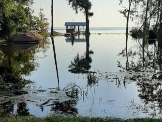 flooded lot at Lake Waccamaw