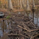This large dam is estimated to be one-half mile in width. It's unclear if the dam is in or outside the city limits. The proposed cleanup program would include both waterways in the city and county.