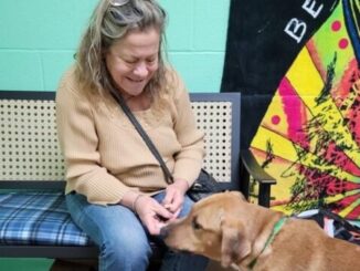Biggie went to his new forever home this week after months at the animal shelter. (APS photo)