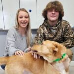 Several dogs went to happy new homes this week from the county shelter (APS Photo)