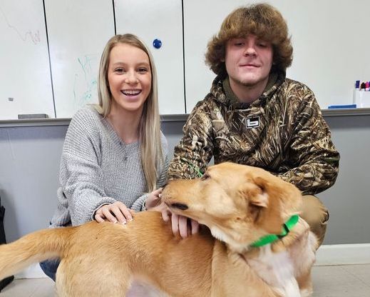 Several dogs went to happy new homes this week from the county shelter (APS Photo)