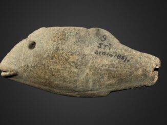A fish shaped pipe excavated form the Buie Mound (NCDCR)