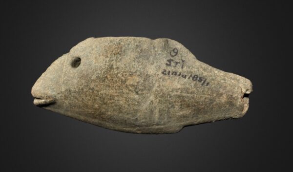 A fish shaped pipe excavated form the Buie Mound (NCDCR)