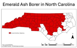 NCFS Graphic showing the spread of emerald ash borer beetles.