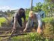 Columbus County Partnership for Children’s Outreach Coordinator Shaq Davis pulls weeds from a garden bed with Michael Shuman, extension technician of agriculture for the Columbus County Cooperative Extension.