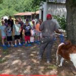 campers will learn about basic animal care, harvesting iff crops, and cooking at the Farm to fork camp. (cooperative Extension Photo)