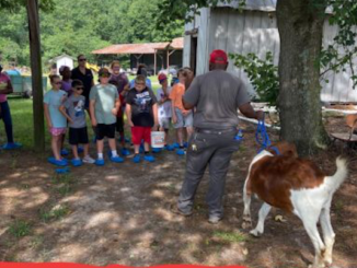 campers will learn about basic animal care, harvesting iff crops, and cooking at the Farm to fork camp. (cooperative Extension Photo)