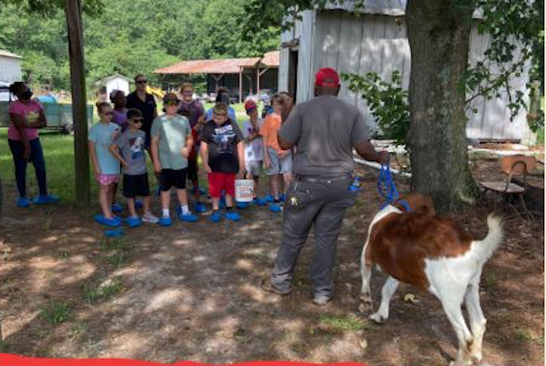 campers will learn about basic animal care, harvesting iff crops, and cooking at the Farm to fork camp. (cooperative Extension Photo)